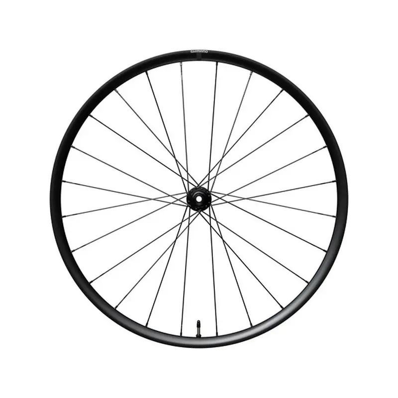 ridewill4149819